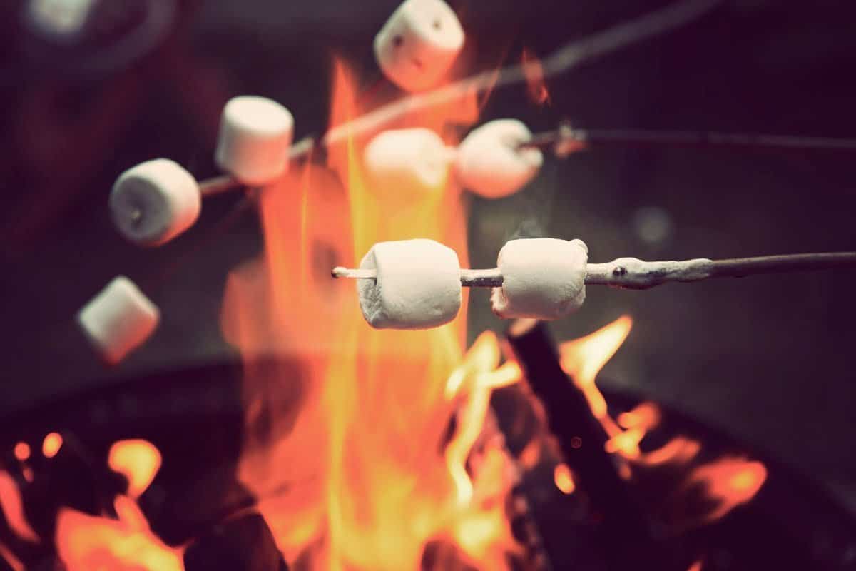 marshmallow bbq - King Matériaux