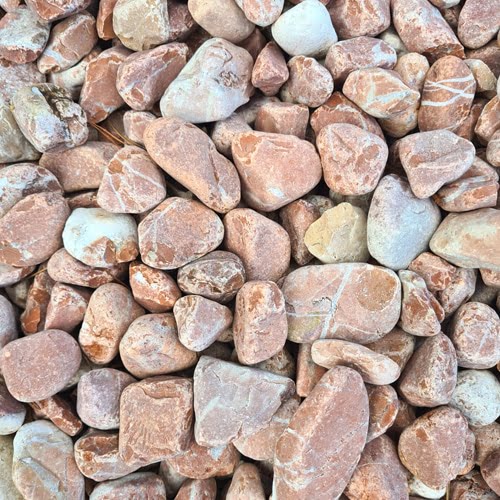 12 Pièces Galets A Peindre Galets Plats à Peindre 5-8 Cm Galet Blanc
