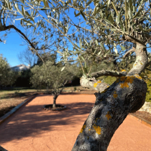 Sable stabilisé rouge pour boulodrome 0/6 validé FFPJP