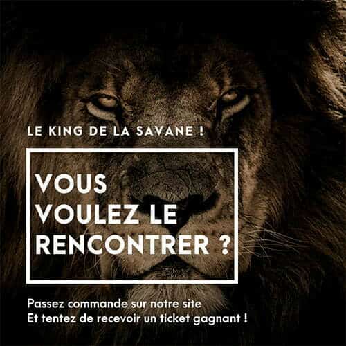concours 5 ans king materiaux
