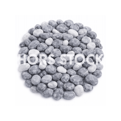 Galet gris codol nevada 20-40 pour massif